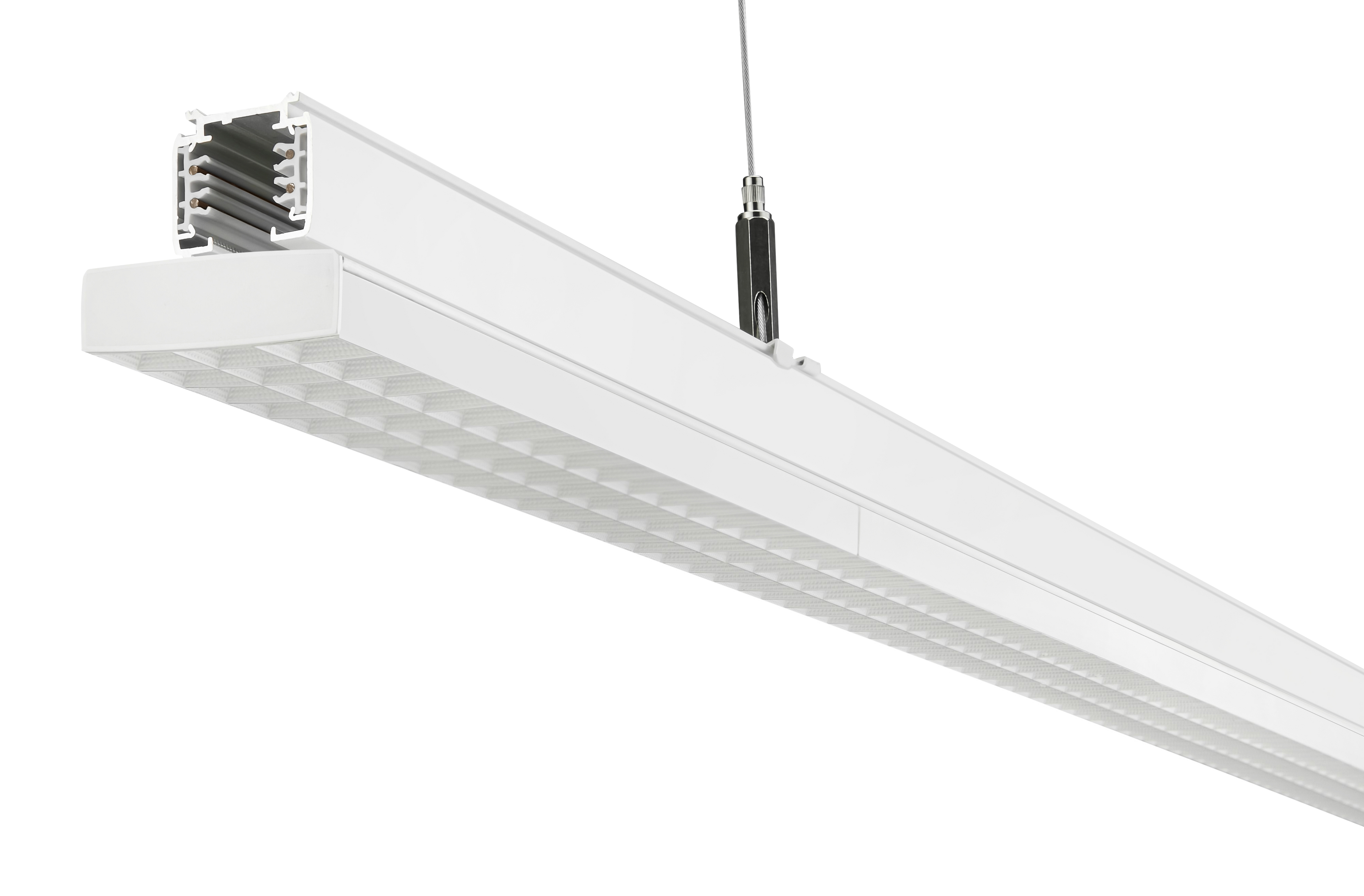 Freetrack Moduality W50