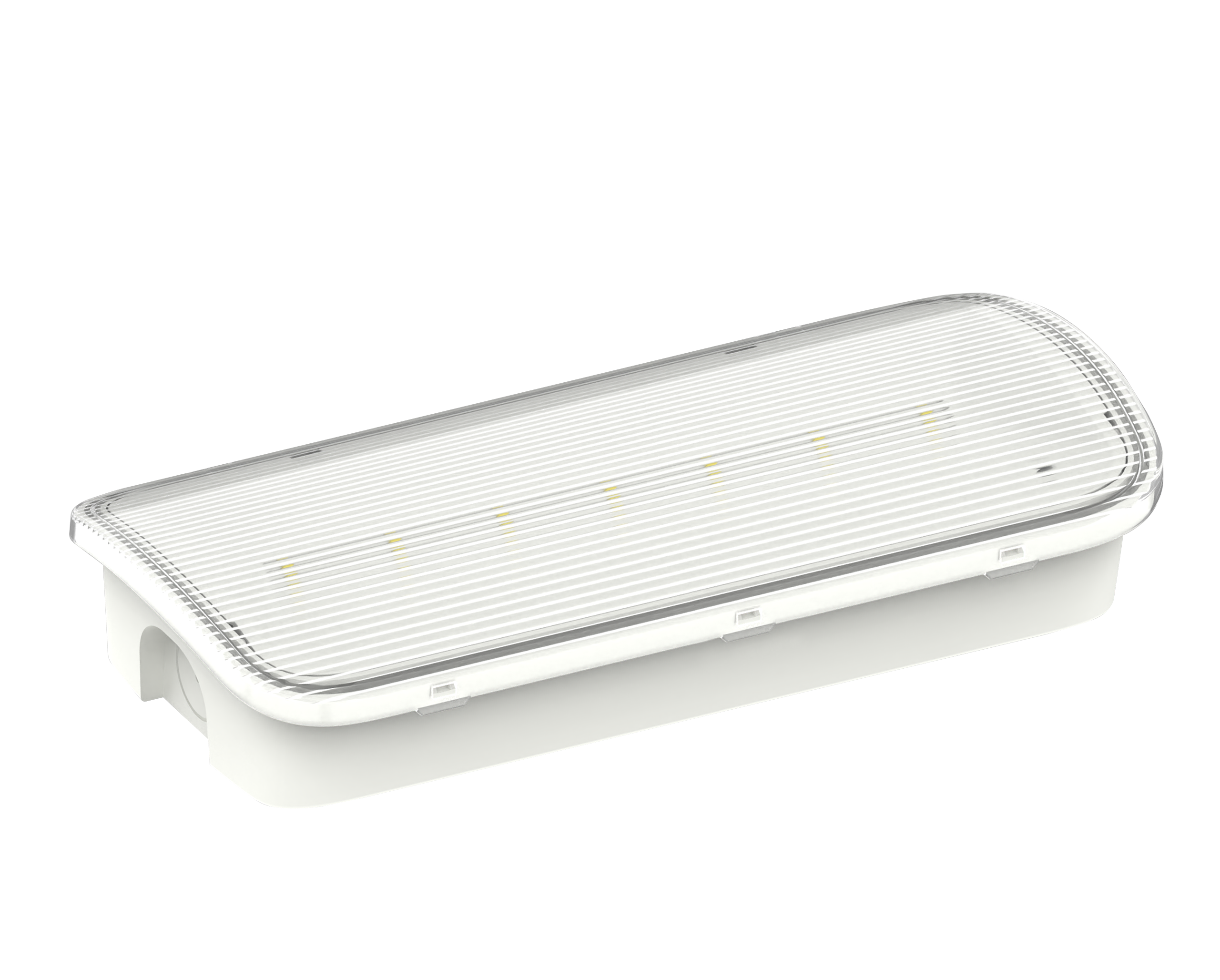 FreeLUX Bulkhead IP66
