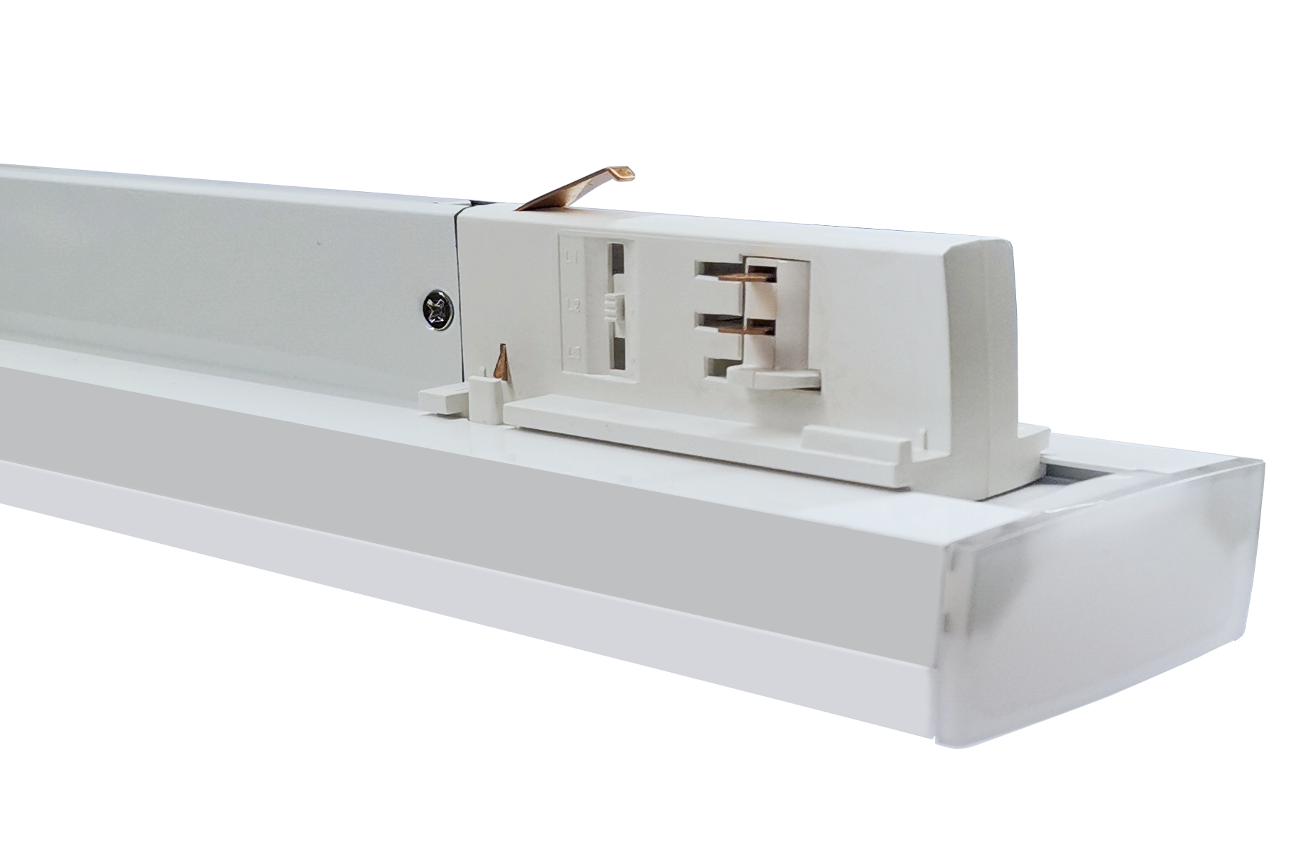 Freetrack Moduality W50