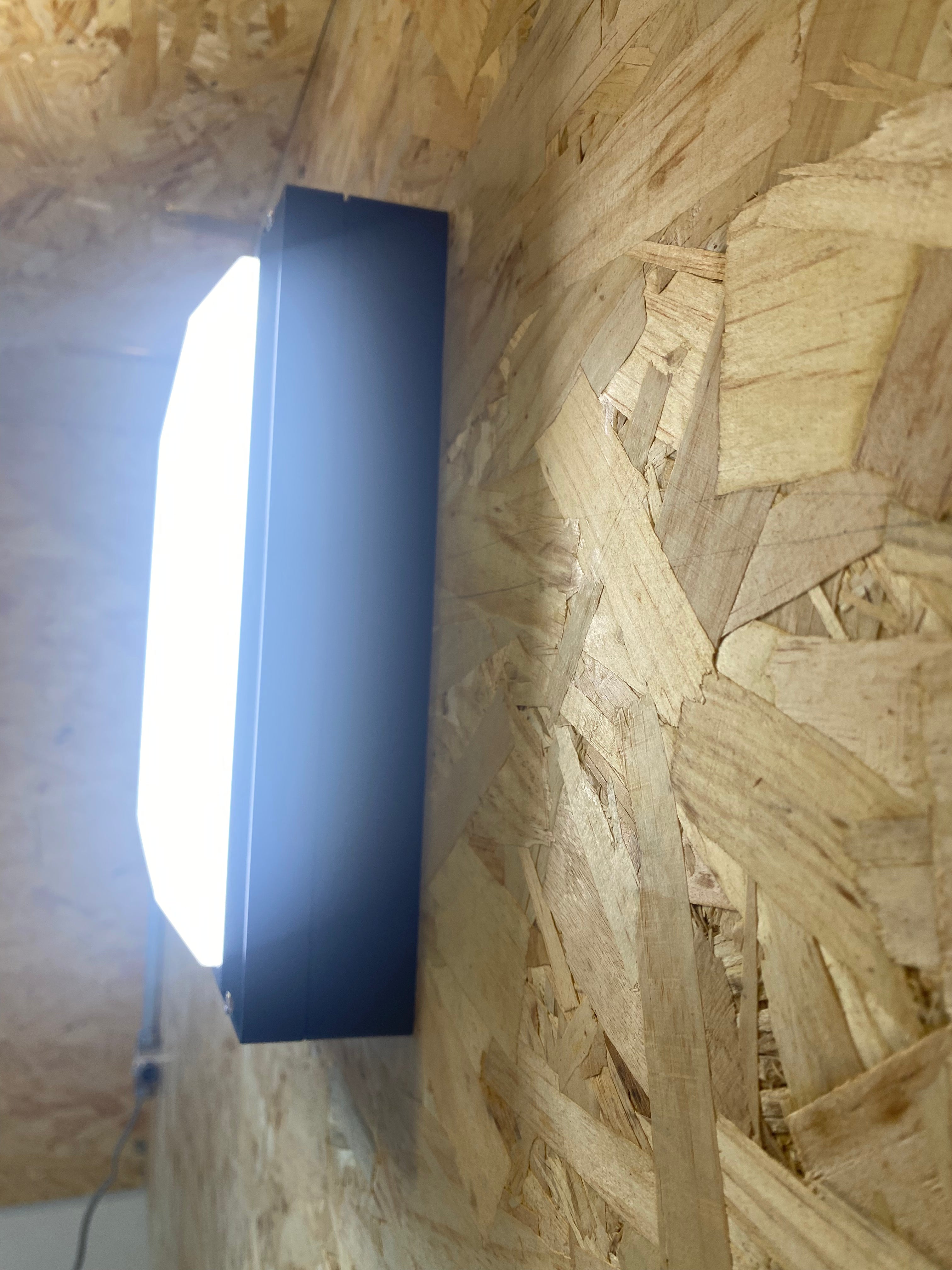 LED Bulkhead Luminaire - Lily
