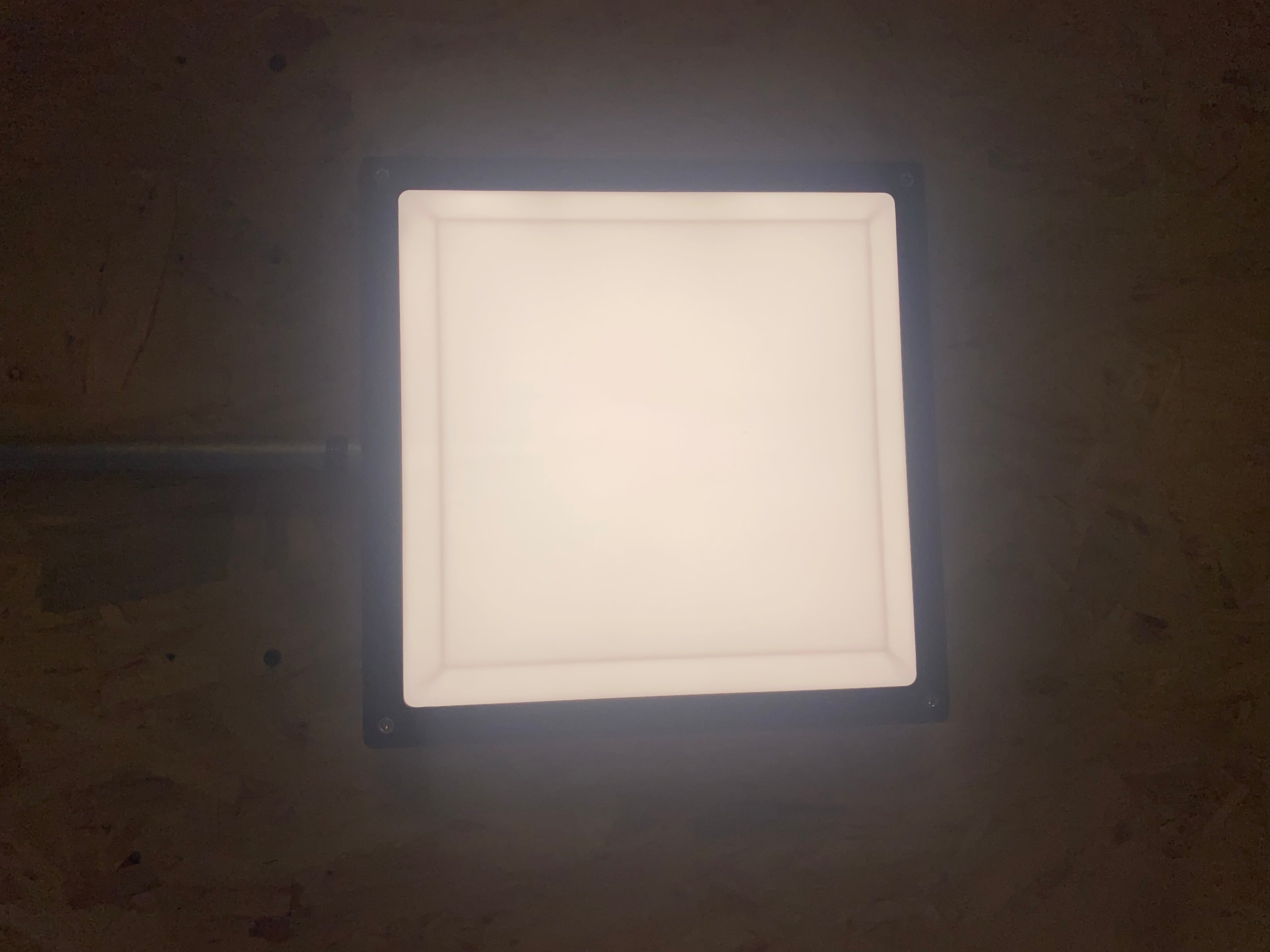 LED Bulkhead Luminaire - Lily