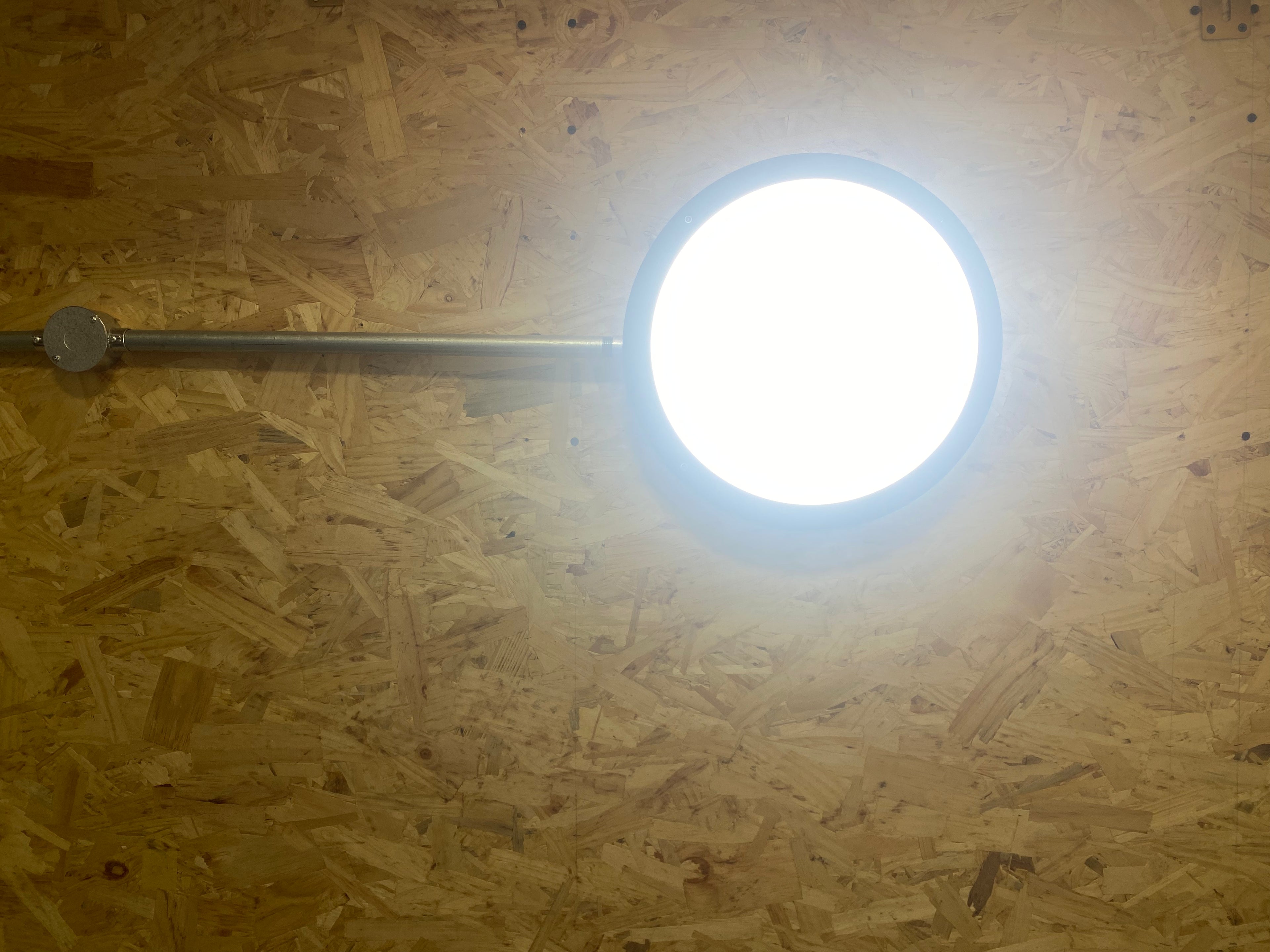 LED Bulkhead Luminaire - Jessie