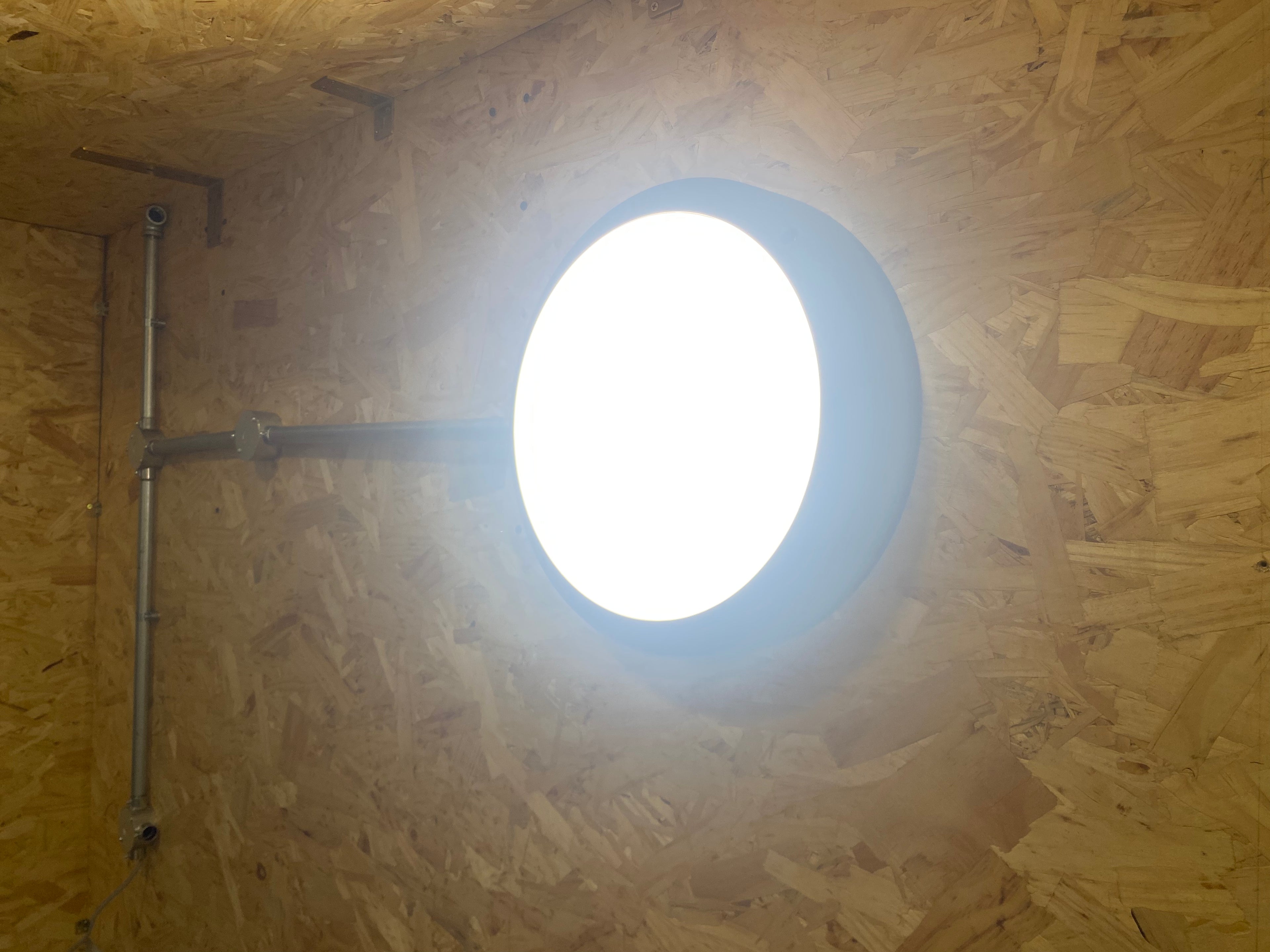 LED Bulkhead Luminaire - Jessie