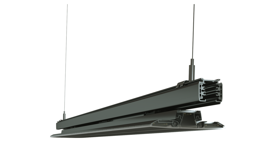 Freetrack Moduality W50