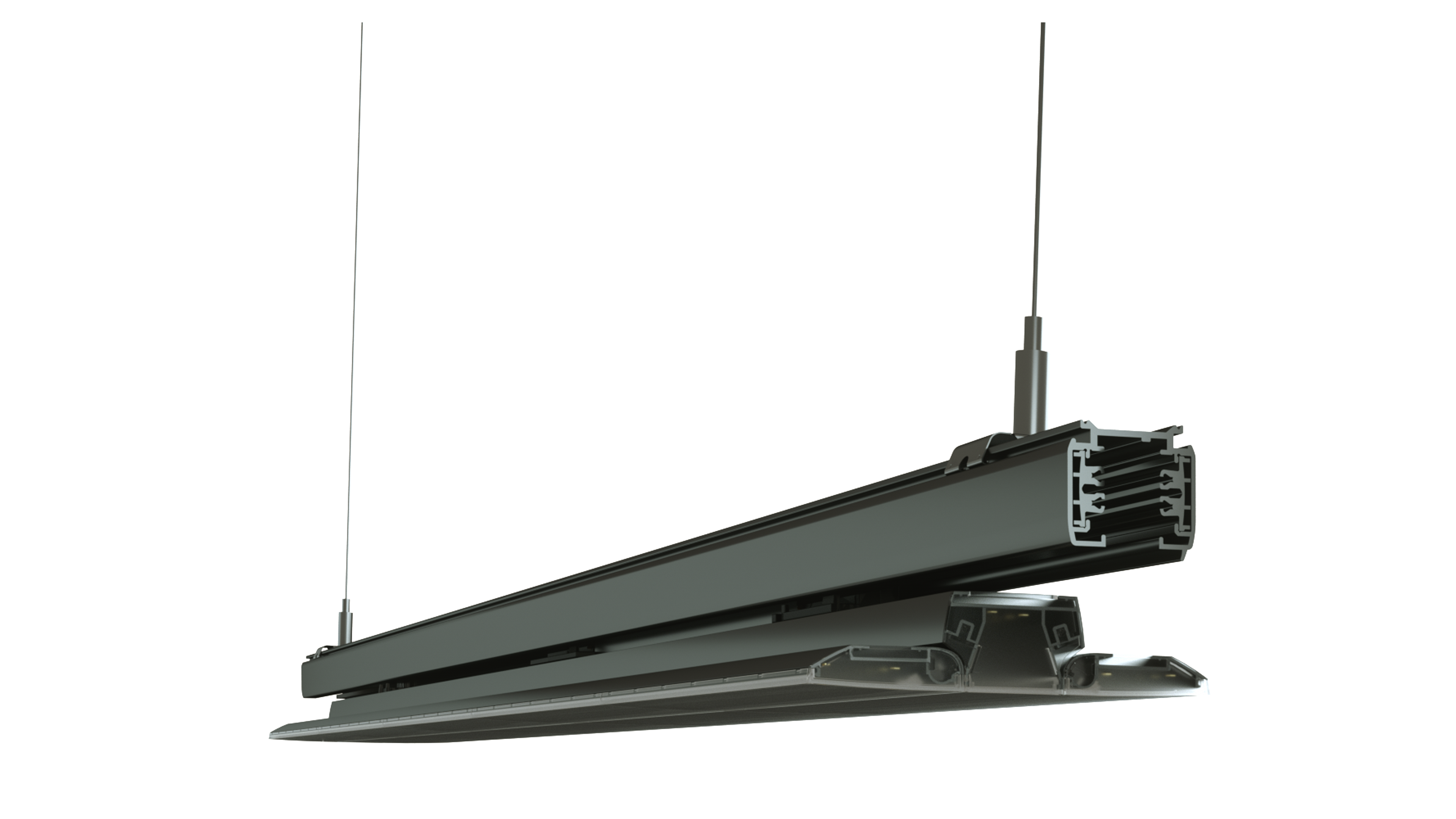 Freetrack Moduality W50